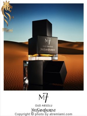 بهترین ایو سن لورن M7 عود ابسلو مردانه اصل میامی