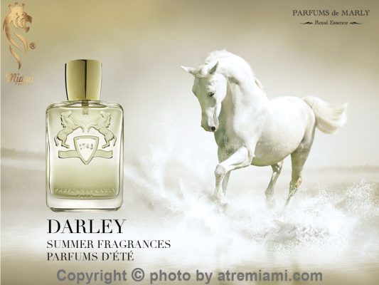 بهترین مارلی دارلی مردانه اصل میامی