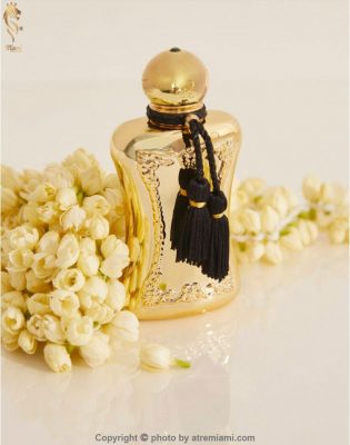 بهترین مارلی دارسی زنانه اصل میامی