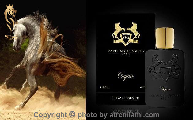 بهترین مارلی اوجان زنانه و مردانه اصل میامی