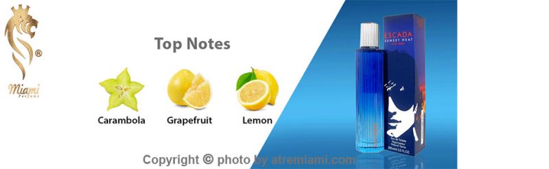اسکادا-سانست-هیت-مردانه-Miami-بهترین-عطر-و-ادکلن-اسکادا-سانست-هیت-مردانه-اصل-میامی-Escada-Sunset-Heat-for-Men-Perfume