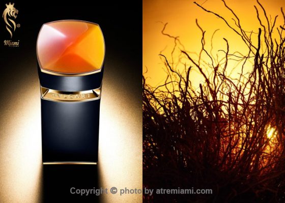 بهترین Bvlgari Ambero مردانه اصل میامی