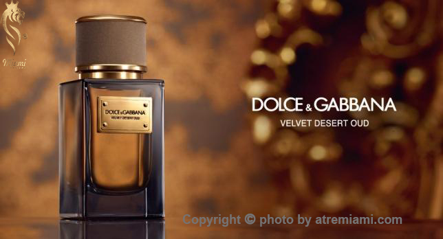 بهترین Dolce Gabbana Velvet Desert Oud زنانه مردانه اصل میامی