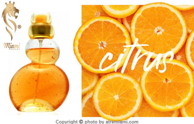 بهترین آزارو اورنج تونیک زنانه اصل میامی