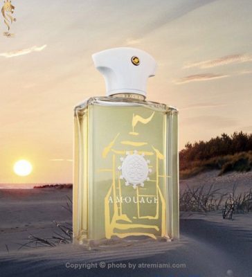 بهترین آمواج بیچ هات مردانه مردانه اصل میامی