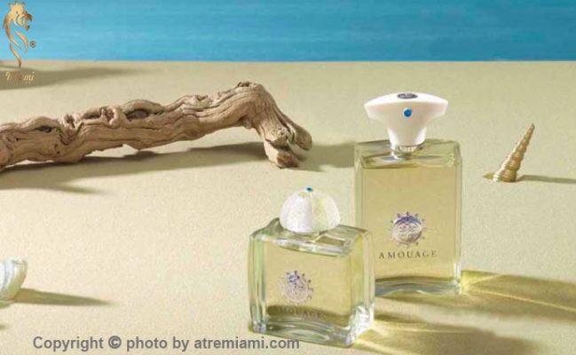 بهترین آمواج سیل مردانه اصل میامی