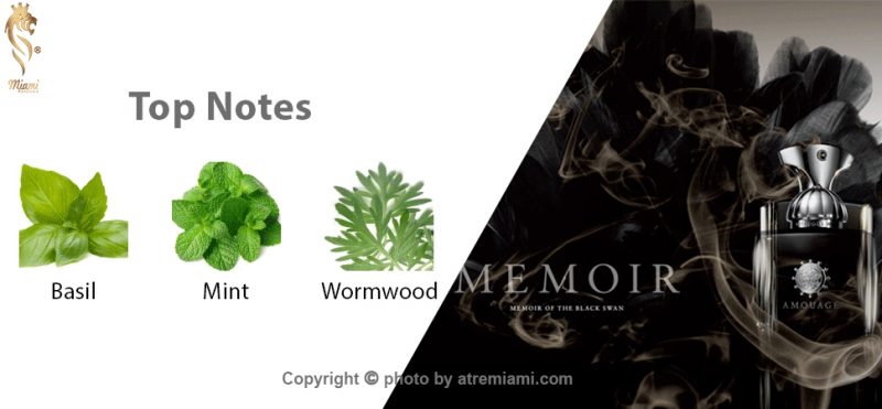 بهترین آمواج ممویر زنانه اصل میامی