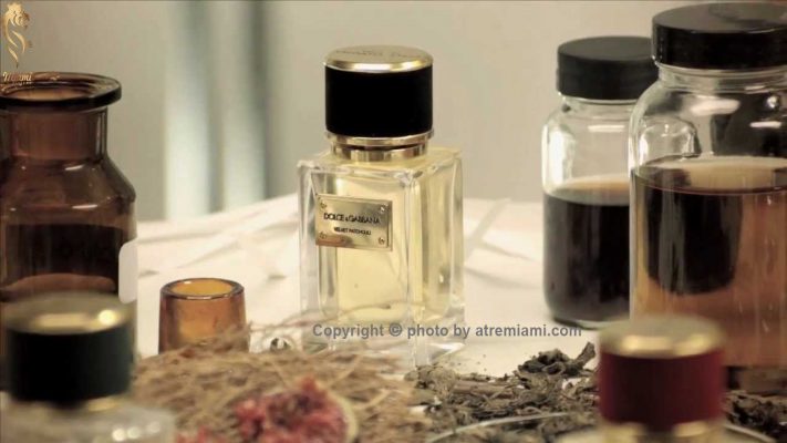 بهترین ادکلن دولچه گابانا ولوت وودی زنانه مردانه اصل میامی