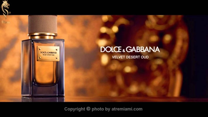 بهترین ادکلن دی اند جی ولوت تندر عود زنانه مردانه اصل میامی