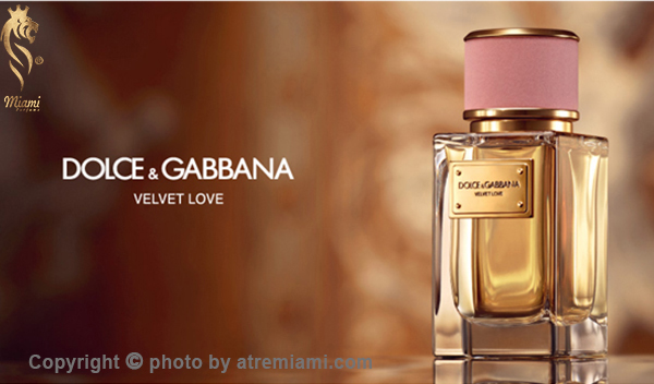 بهترین ادکلن دی اند جی ولوت لاو زنانه اصل میامی