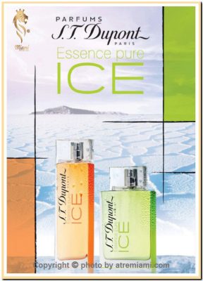 بهترین-اس-تی-دوپونت-اسنس-پیور-آیس-مردانه-مردانه--اصل-میامی