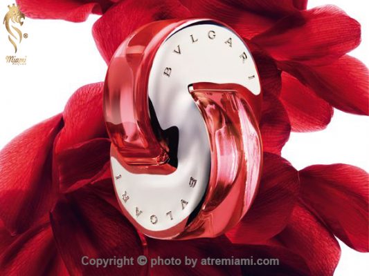 بهترین بلگاری امنیا قرمز زنانه اصل میامی