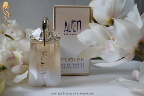 بهترین تیری موگلر الین او سوبلیم زنانه اصل میامی