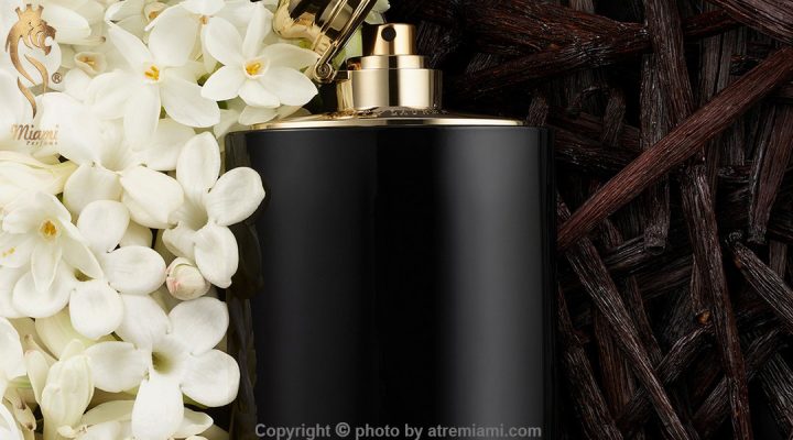 بهترین رالف لورن وومن بای رالف لورن اینتنس زنانه اصل میامی