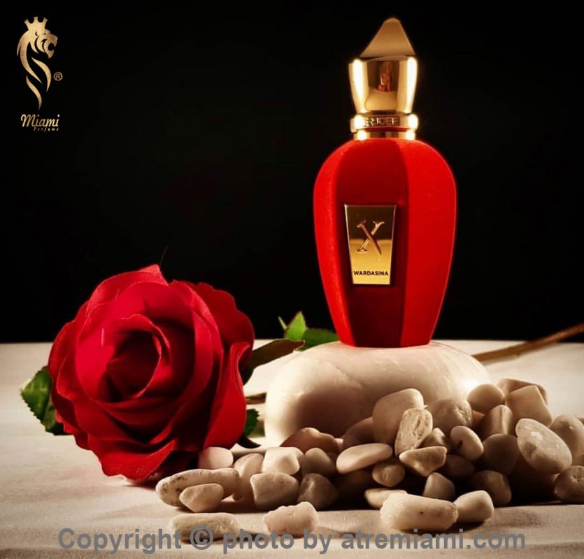 بهترین-زرژاف-وارداسینا-زنانه-و-مردانه-اصل-میامی-Xerjoff-Wardasina