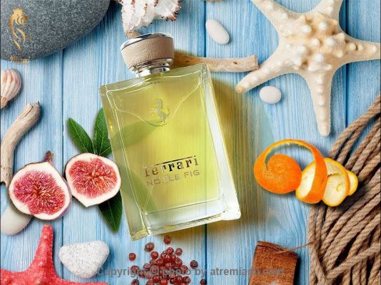 بهترین-فراری-نوبل-فیگ-زنانه-و-مردانه--اصل-میامی