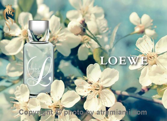 بهترین-لوئو-ال-کول-زنانه-اصل-میامی-Loewe-L-Cool