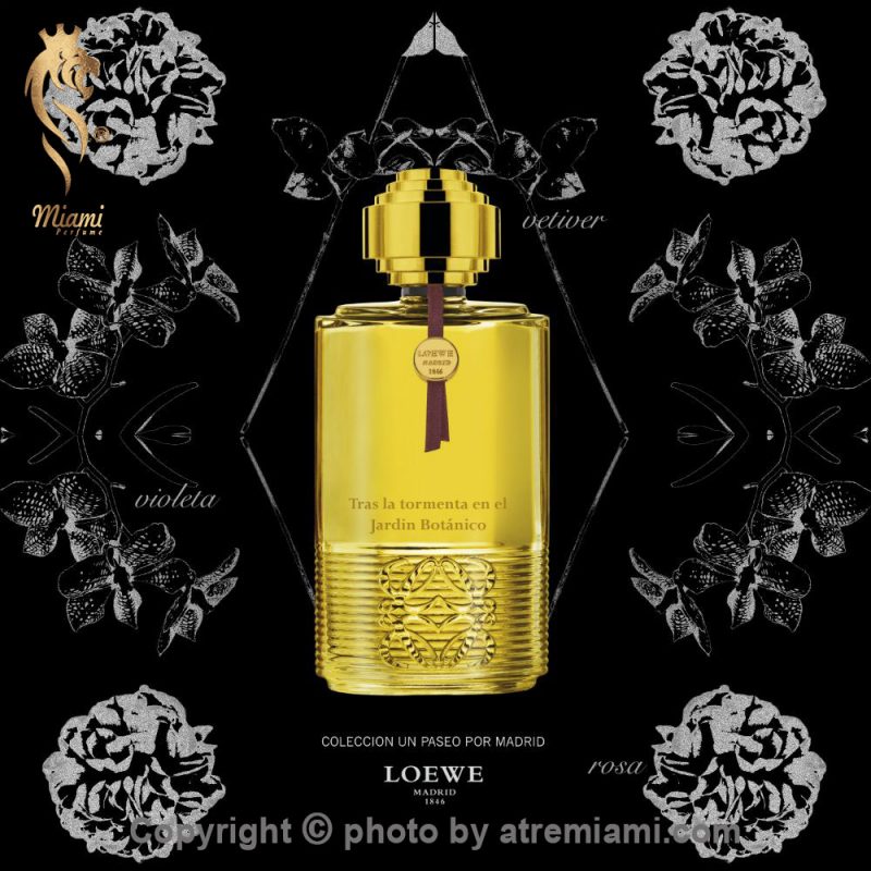 بهترین-لوئوه-تراس-لا-تورمنتا-ان-ال-جاردین-بوتانیکو-مردانه-و-زنانه-اصل-میامی-Loewe-Tras-la-tormenta-en-el-Jardin-Botanico