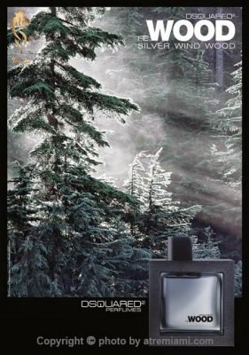 بهترین هی وود سیلور ویند وود مردانه اصل میامی