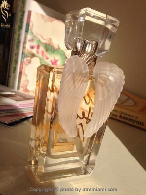 بهترین ویکتوریا سکرت ویکتوریا سکرت آنجل گلد زنانه اصل میامی