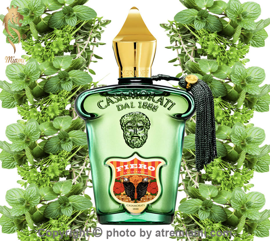 بهترین-کازاموراتی-زرژاف-فیئرو-مردانه--اصل-میامی-Xerjoff-Casamorati-Fiero