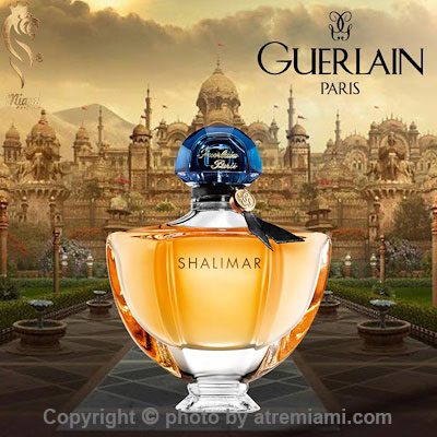 خرید ادکلن گرلن شالیمار ادو پرفیوم زنانه اصل میامی