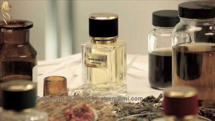 قیمت عطر دلچه گابانا ولوت پچولی زنانه مردانه اصل میامی