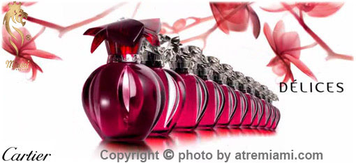 کارتیر دلیشز د کارتیر ادو پرفیوم Miami بهترین عطر ادکلن کارتیر دلیشز د کارتیر ادو پرفیوم زنانه اصل میامی Cartier Delices De Cartier Eau de Parfum Perfume