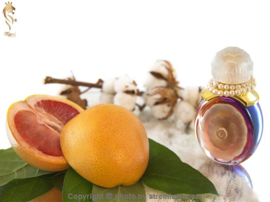 بهترین-Alexandre.J-Heaven-زنانه-و-مردانه-اصل-میامی