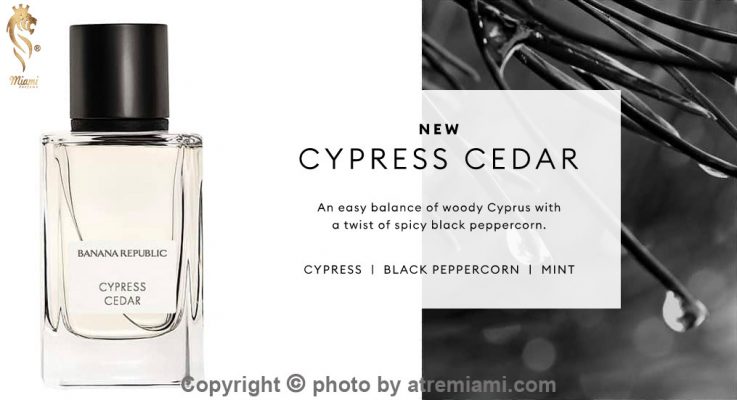 بهترین-Banana-Republic-Cypress-Cedar-زنانه-و-مردانه-اصل-میامی