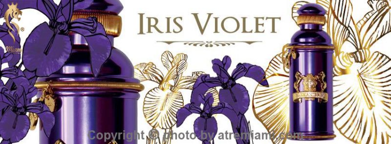 بهترین-alexandre.J-Iris-Violet-زنانه-اصل-میامی