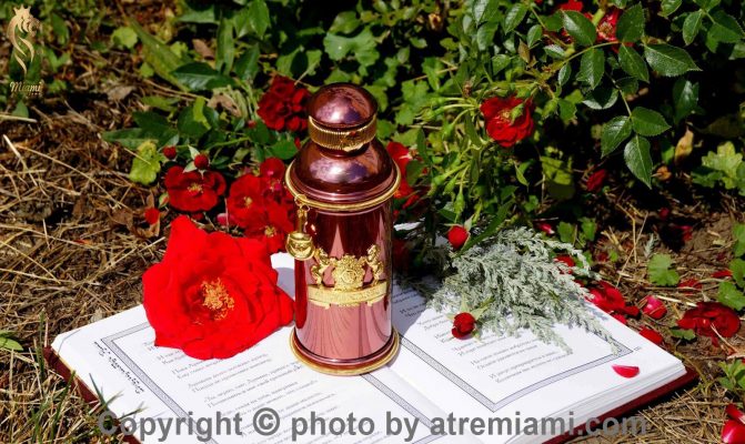 بهترین-الکساندر-جی-مورنینگ-ماسک-زنانه-و-مردانه-اصل-میامی