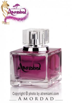 بهترین-امرداد-زنانه-زنانه-اصل-میامی