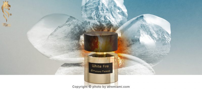 بهترین-تیزیانا-ترنزی-وایت-فایر-مردانه-و-زنانه-اصل-میامی