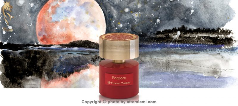 بهترین تیزیانا ترنزی پورپورا مردانه و زنانه اصل میامی