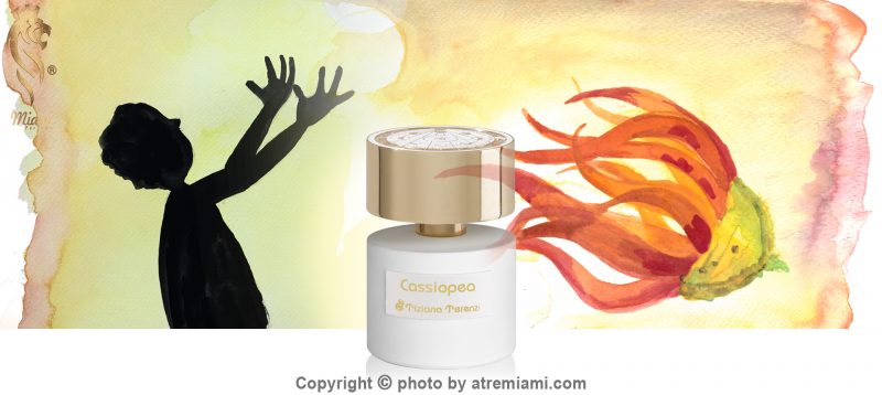 بهترین-تیزیانا-ترنزی-کسیوپی-مردانه-و-زنانه-اصل-میامی