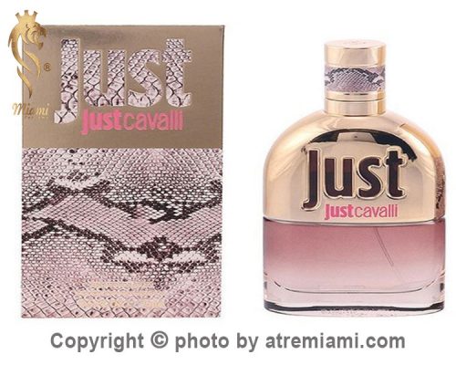 بهترین-روبرتو-کاوالی-جاست-کاوالی-زنانه-زنانه-اصل-میامی