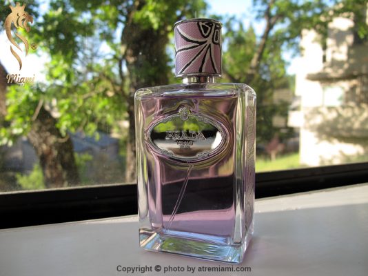 بهترین پرادا اینفیوژن د توبروز زنانه اصل میامی