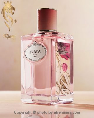 بهترین پرادا اینفیوژن د رز زنانه اصل میامی