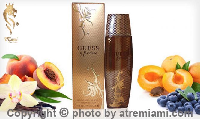 بهترین-گس-بای-مارسیانو-زنانه-زنانه-اصل-میامی
