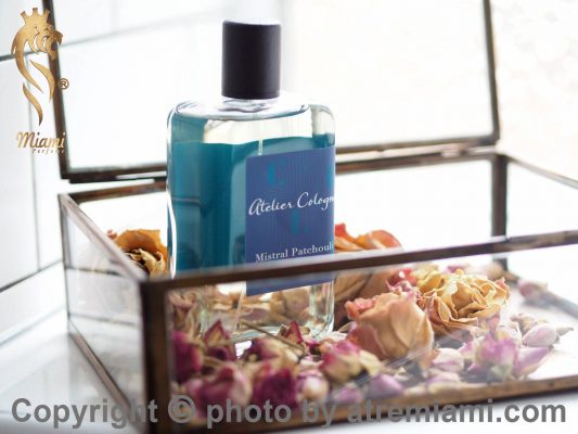 بهترین-آتلیه-کلون-میسترال-پچولی-مردانه-و-زنانه-اصل-میامی