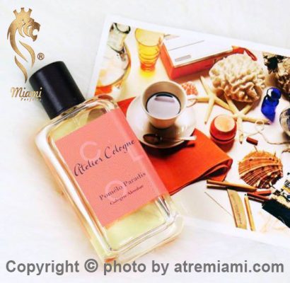 بهترین-آتلیه-کلون-پوملو-پارادایس-مردانه-و-زنانه-اصل-میامی