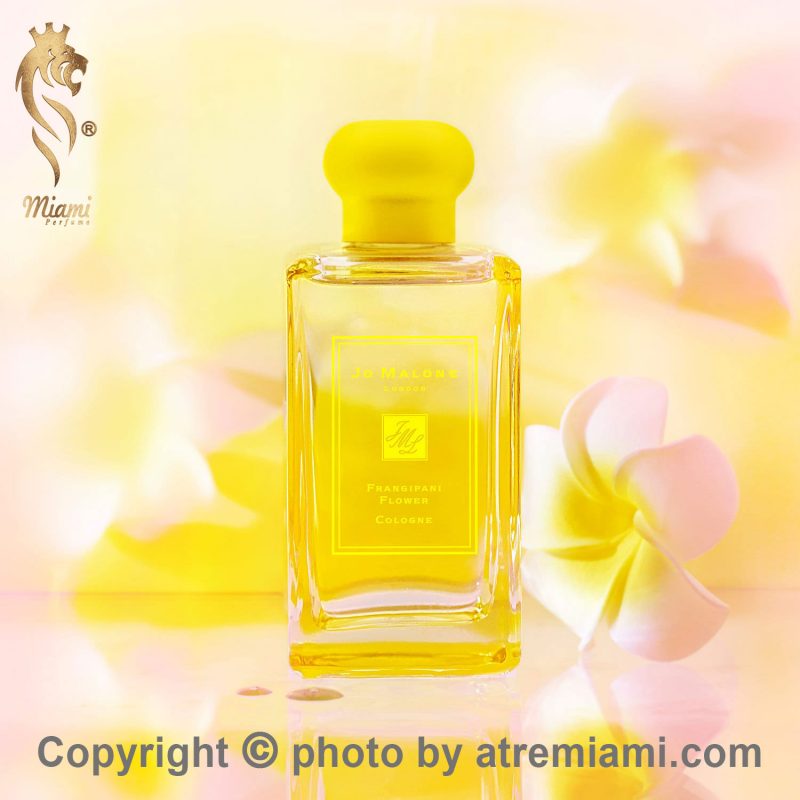 بهترین-جو-مالون-فرانجیپانی-فلاور-کلون-زنانه-و-مردانه-اصل-میامی