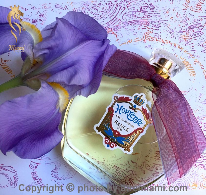 بهترین-رنس-هورتنس-زنانه-اصل-میامی