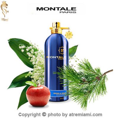 بهترین مونتاله عود اند پاین مردانه و زنانه اصل میامیبهترین مونتاله عود اند پاین مردانه و زنانه اصل میامی