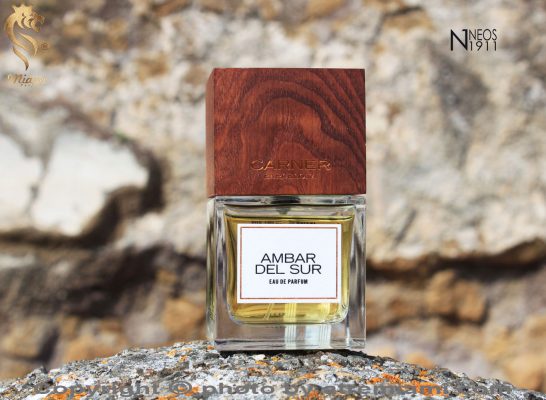 بهترین-کارنر-بارسلونا-امبر-دل-سور-زنانه-و-مردانه-اصل-میامی