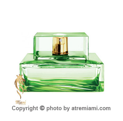 قیمت-Michael-Kors-Island-Palm-Beach-زنانه-اصل-میامی