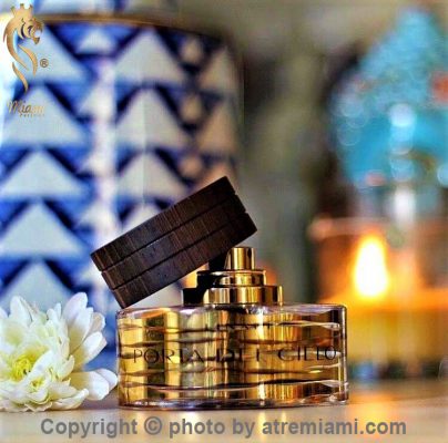 بهترین-لیناری-پورتا-دل-سی-لو-زنانه-و-مردانه-اصل-میامی