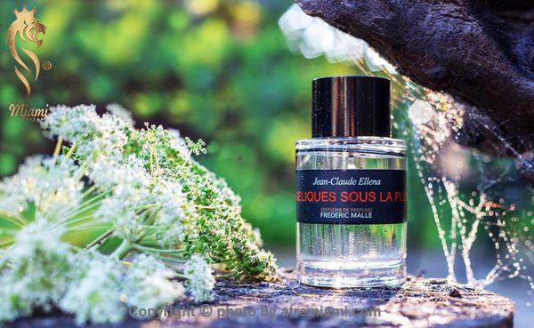 بهترین-فردریک-مال-آنجلیکز-سوس-لا-پلوئی-مردانه-و-زنانه-اصل-میامی